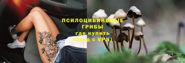 бошки Осинники