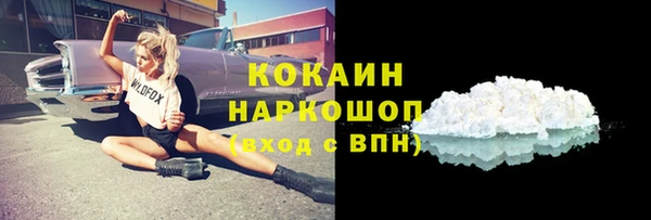 бошки Осинники
