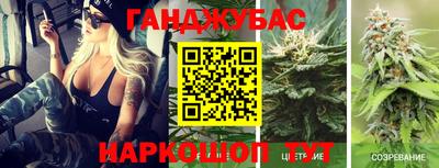 дмт Аргун