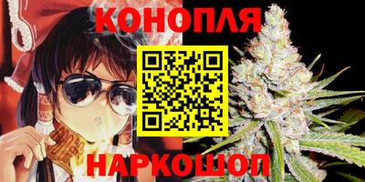 дмт Аргун