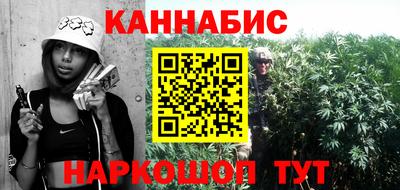 дмт Аргун