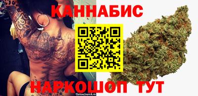 дмт Аргун