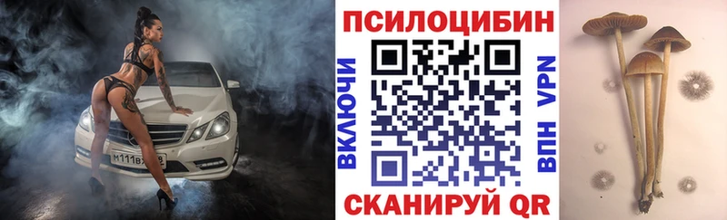 Галлюциногенные грибы мухоморы Богданович