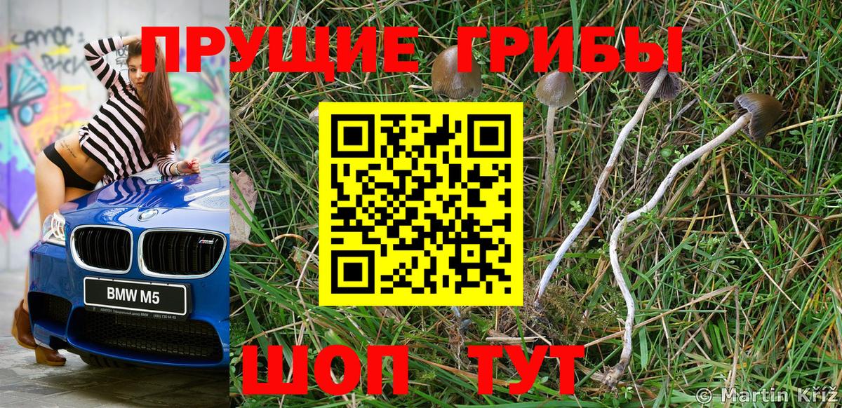 Галлюциногенные грибы GOLDEN TEACHER Богданович