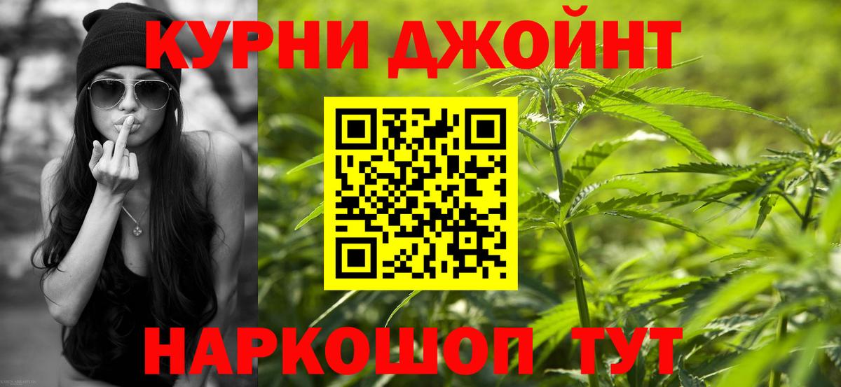 Богданович  Конопля MAZAR  Конопля конопля  Конопля сатива  Вход с VPN 